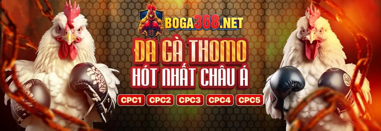 Hình ảnh đại diện cho Chính sách Bảo mật của p888vi