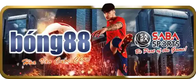 Đa dạng môn thể thao tại p888vi